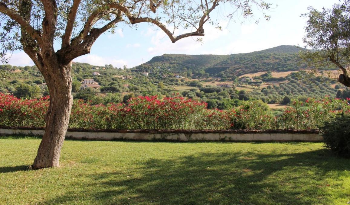 אלגהרו B&B Kapi Country מראה חיצוני תמונה